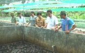 Thời tiết nông vụ  29/8/2022