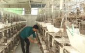 Thông tin thị trường  01/6/2023