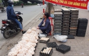 Thông tin thị trường  02/3/2023