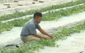 Thông tin thị trường  08/6/2023