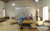 Thông tin thị trường  09/3/2023
