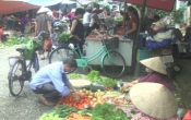 Thông tin thị trường  13/10/2022