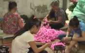 Thông tin thị trường  13/4/2023