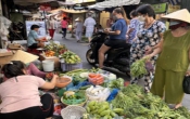 Thông tin thị trường  15/02/2024