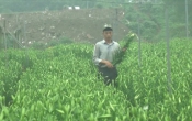 Thông tin thị trường  17/3/2022