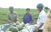 Thông tin thị trường   19/5/2022