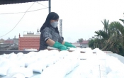 Thông tin thị trường  21/4/2022