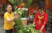 Thông tin thị trường  23/3/2023