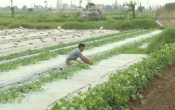 Thông tin thị trường  27/4/2023