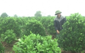 Tinh hoa làng nghề ( 11/02/2020 )