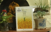 Trả về nơi tình yêu bắt đầu