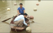 Vàng trong đất (23/03/2019)