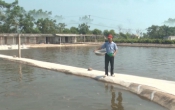 Vàng trong đất (26/05/2019)