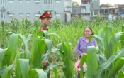 Vì an ninh trật tự   23/6/2022