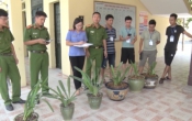 Vì an ninh trật tự  (27/8/2020)