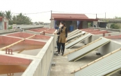 Vùng biển quê tôi  03/4/2024