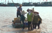 Vùng biển quê tôi ( 20/02/2019 )