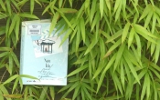 Xin lỗi, anh nhận nhầm người