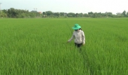 Thời tiết nông vụ  21/4/2025