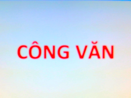Công văn số 155/UBND-VP8