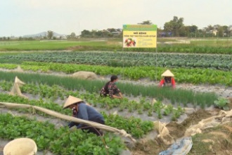 Ý Yên phát huy vai trò lãnh đạo của Đảng trong xây dựng NTM nâng cao, NTM kiểu mẫu