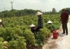 Chuyển động nông thôn (14/12/2020)