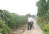 Chuyển động nông thôn (22/8/2021)