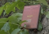 ĐỌA ĐÀY