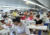 Sở hữu trí tuệ & Cuộc sống  12/8/2022
