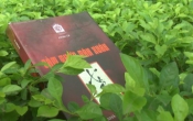 Cảm thức Tân Xuân