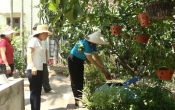 Câu chuyện xóm làng  05/12/2023
