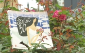 Đàn bà 30