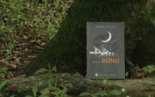 Đêm rừng