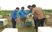 Học và làm theo Bác   06/7/2022