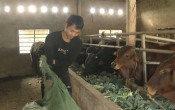 Học và làm theo Bác  18/4/2023