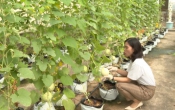 Khoa học công nghệ   19/7/2022