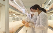 Khoa học công nghệ   21/6/2022