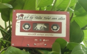 Kỳ án trên tháp hoa hồng