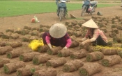 Học và làm theo Bác  22/8/2023