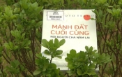 Mảnh đất cuối cùng nơi người cha nằm lại