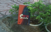 Mặt trời nhà SCORTA