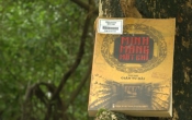 Minh mạng mật chỉ