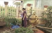 Môi trường & Cuộc sống  26/12/2024