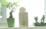 Một đời tự tại