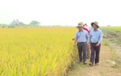 NAM ĐỊNH ĐẨY MẠNH PHÁT TRIỂN LIÊN KẾT CHUỖI TRONG SẢN XUẤT NÔNG NGHIỆP