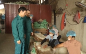 Nam Định tôi yêu  12/11/2023