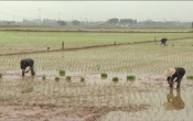 Nhịp cầu nhà nông ( 06/07/2019 )