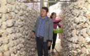 Nhịp cầu nhà nông  08/3/2024