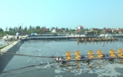 Nhịp cầu nhà nông ( 12/05/2019 )