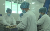 Nhịp cầu nhà nông  29/3/2024